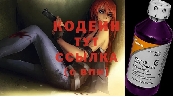 сатива Инсар