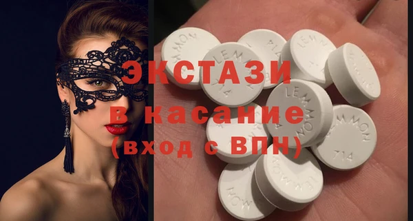 гидра Инта