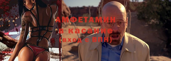 сатива Инсар