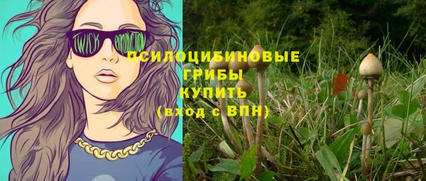 стаф Иннополис
