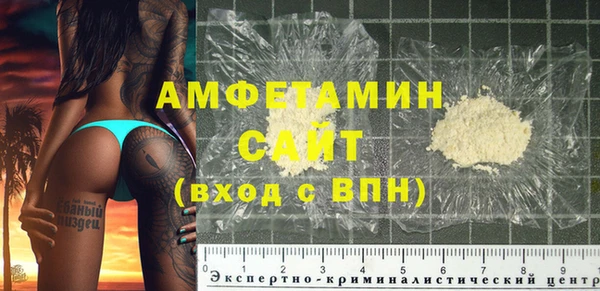 гидра Инта
