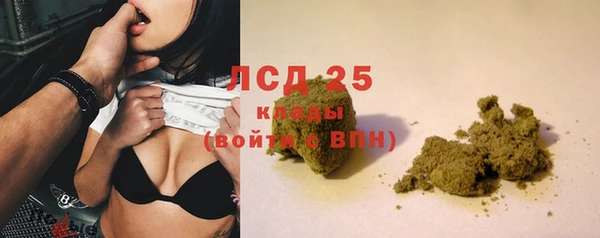 гидра Инта