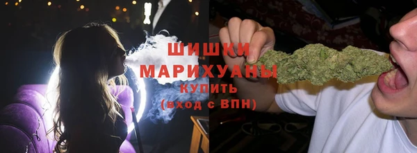гидра Инта