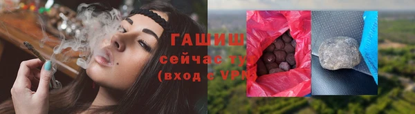 гидра Инта