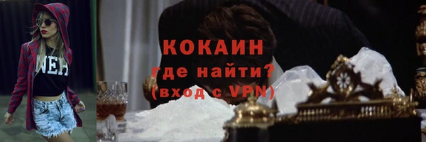 гидра Инта