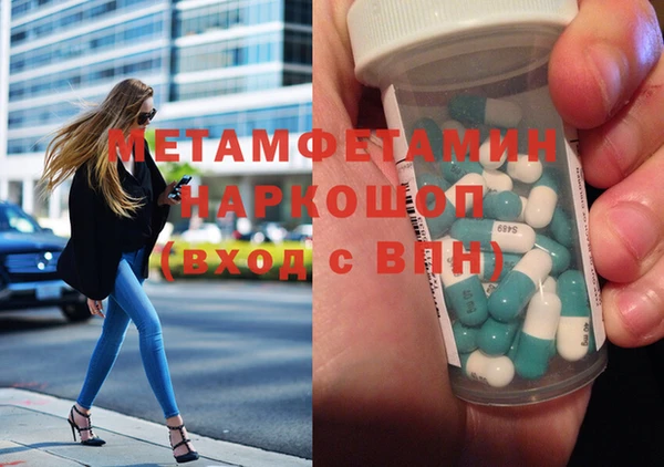 гидра Инта