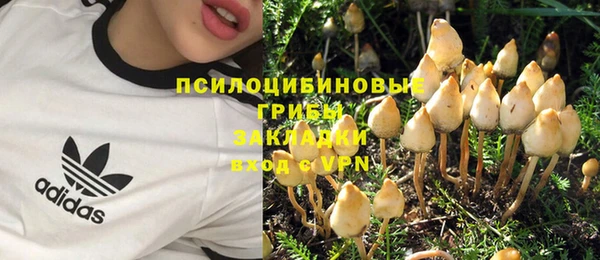 сатива Инсар