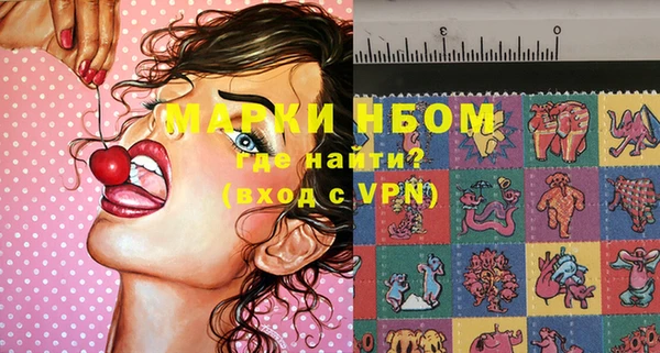 сатива Инсар