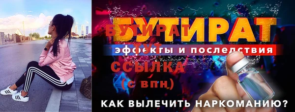 гидра Инта