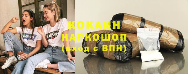 гидра Инта