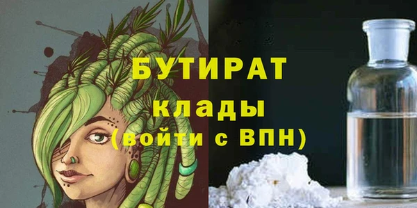 гидра Инта