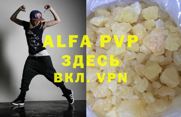 гидра Инта
