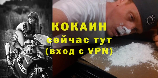 сатива Инсар