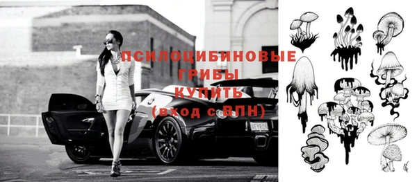 гидра Инта