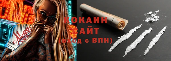 сатива Инсар