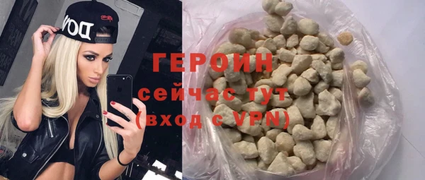 гидра Инта