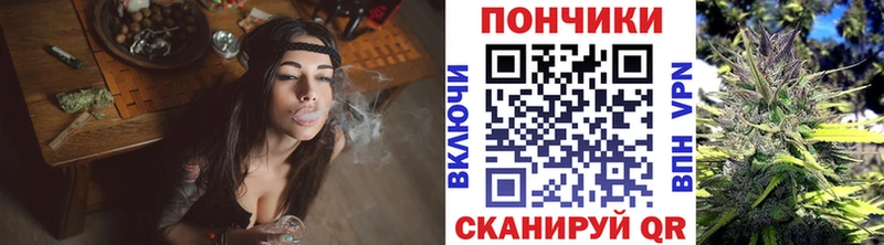 Шишки марихуана гибрид  Купить закладки  Усть-Лабинск 